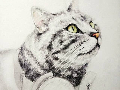 喵喵喵喵喵（个人主页-ZMzUyNDgxMTY=） - 创作习作 - 站酷设计师倪西格尔呗原创素材 - 站酷ZCOOL