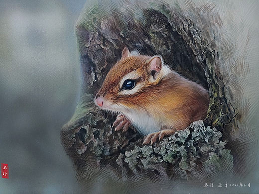 彩铅小松鼠