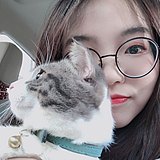 yangho的头像