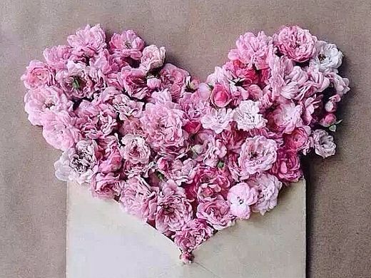 蜜约美术花艺工作室—创意花卉