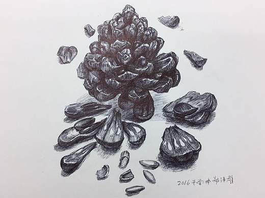 素描作品