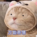 探索的甜筒的头像
