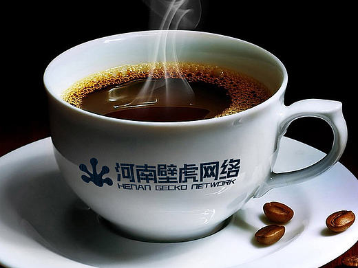 壁虎网络logo提案