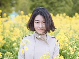 油菜花