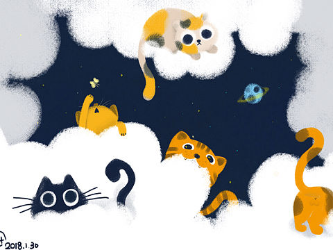 猫