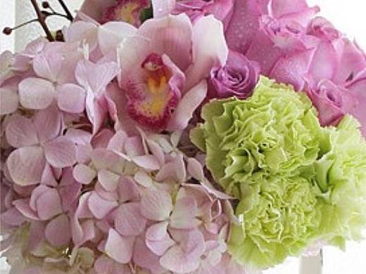 三折页花艺练习