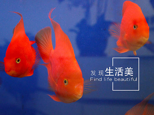 穷（个人主页-ZMjEzNDk0OTI=） - 其他平面 - 站酷设计师Eleven_CY原创素材 - 站酷ZCOOL