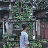 莫浔的头像