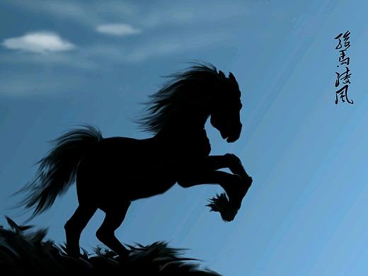 駿馬凌風(fēng)（個(gè)人主頁(yè)-ZMjE2MTM5OTY=） - 其他 - 站酷設(shè)計(jì)師凌寒ww原創(chuàng)素材 - 站酷ZCOOL