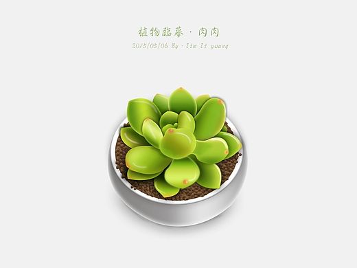 临摹多肉植物（个人主页-ZMTIyNzk4MzI=） - 其他平面 - 站酷设计师Reyon原创素材 - 站酷ZCOOL