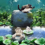 默雨sun的头像