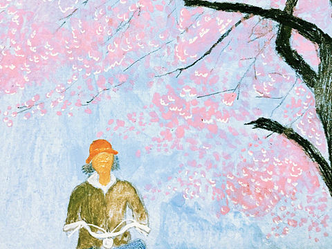 樱花樱花想见你