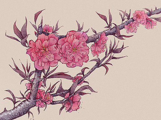 春花简单绘画过程