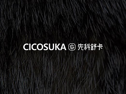 先科舒卡? - LOGO（VI）