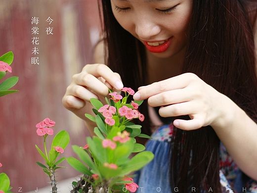 今夜,海棠花未眠