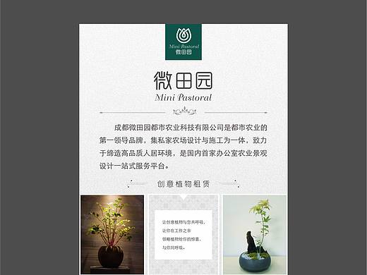 办公植物展架