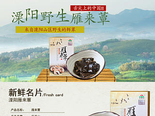 舌尖上的中国II雁来蕈美食中国红中国年美味淘宝食品