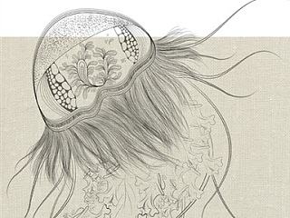 线描系列作品（个人主页-ZNjc4MTA3Ng==） - 概念设定 - 站酷设计师大梵梵原创素材 - 站酷ZCOOL