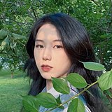 松子Arashiko的头像