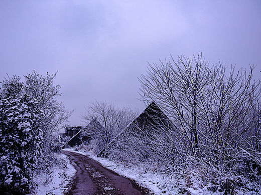 废弃的万国公园（个人主页-ZMTQ5NjA0NzI=） - 环境/建筑摄影 - 站酷设计师夏天疯了原创素材 - 站酷ZCOOL