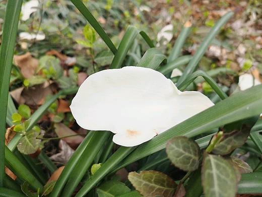 每日一拍006（个人主页-ZMzQ1NDE1Njg=） - 风光摄影 - 站酷设计师芝草晟林原创素材 - 站酷ZCOOL