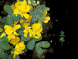 节气
