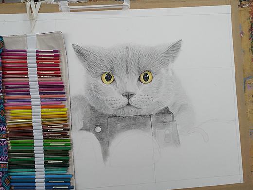 猫