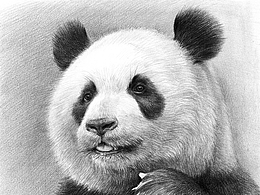 文案
