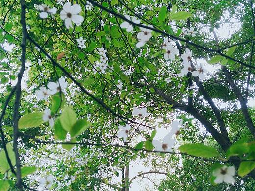 生活中的小美好（個(gè)人主頁(yè)-ZMjc0NzA5MDA=） - 人文/紀(jì)實(shí)攝影 - 站酷設(shè)計(jì)師青挽原創(chuàng)素材 - 站酷ZCOOL