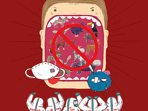 拒吃野味 共同站疫（个人主页-ZMzg5MjM1MDA=） - 海报 - 站酷设计师小金fasss原创素材 - 站酷ZCOOL