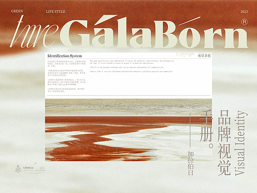 4.中文&应用延展 |GALABORN品牌识别手册