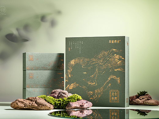 青狮传承--老枞青狮