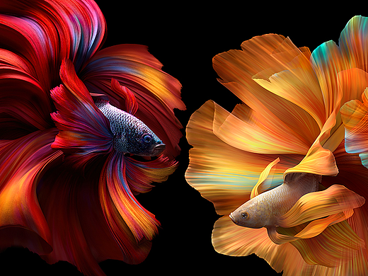 XIAOMI MIX FOLD WALLPAPER 2021