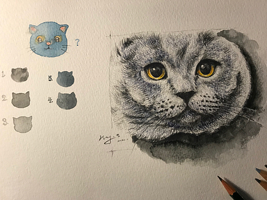 英短蓝猫的颜色