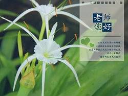 教师节的礼物
