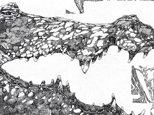 幻想之中系列 鳄鱼（个人主页-ZMTQ3NjExNDg=） - 商业插画 - 站酷设计师早猫原创素材 - 站酷ZCOOL