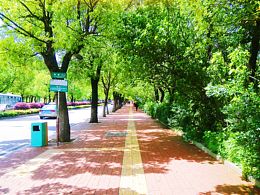 阳光晴好的日子