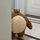 sobout的头像