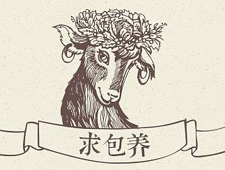 羊肉详情页