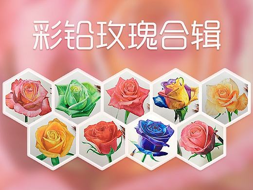 彩铅玫瑰合辑