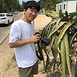 墓道猫的头像