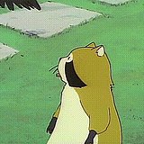 袁可以的头像