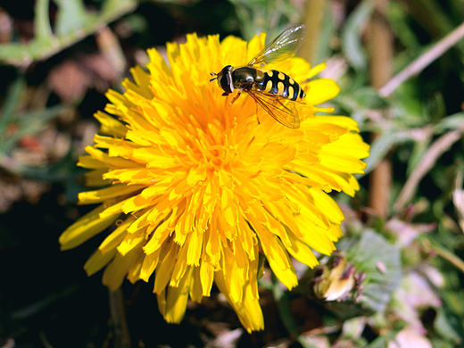 摄影（个人主页-ZMTc1ODUwODA=） - 环境/建筑摄影 - 站酷设计师NO丶原创素材 - 站酷ZCOOL