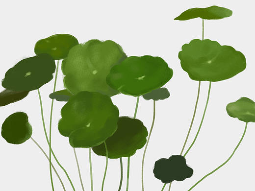 「和布林老師學插畫」植物篇6（个人主页-ZMjAzMjcyMjQ=） - 创作习作 - 站酷设计师ruhi原创素材 - 站酷ZCOOL