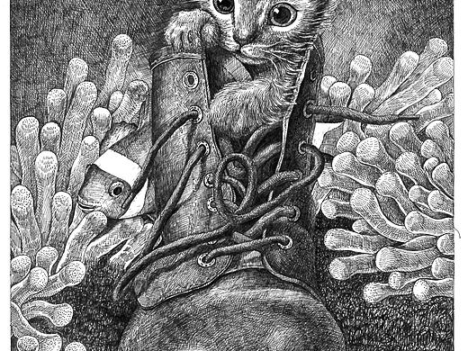 黑白插画