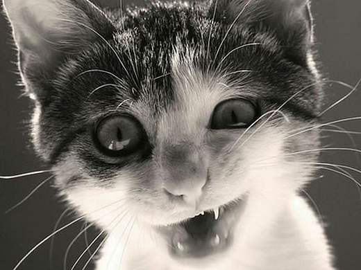 惡搞朋友，希望他們不要看到（個人主頁-ZMTgyODYyNDQ=） - 短片 - 站酷設計師思至學生原創(chuàng)素材 - 站酷ZCOOL