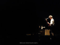 2012,草莓音乐节——趁年轻,我行我素的绽放理想的光芒吧!