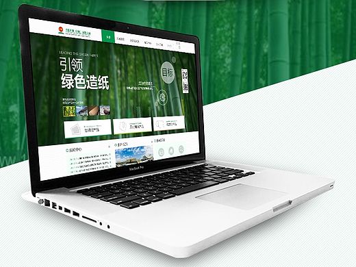 <玖龙纸业>网页改版