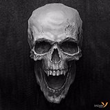 Disdark_Sun的头像