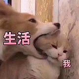 mizlee的头像